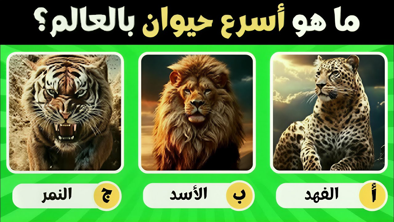30 سؤال وجواب ثقافة عامة | اتحداك ان تكملها بدون اخطاء معلومات ستدهشك