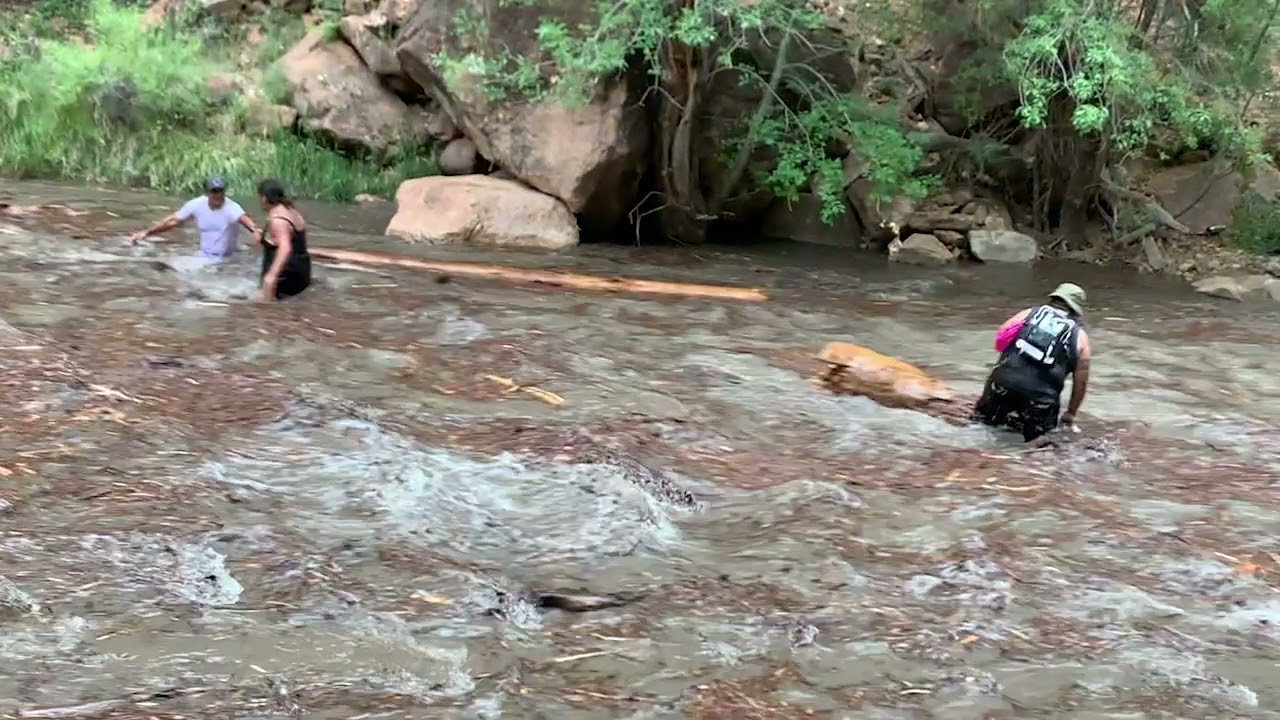 Hikers at Zion National Park Nearly Swept Away in Raging River