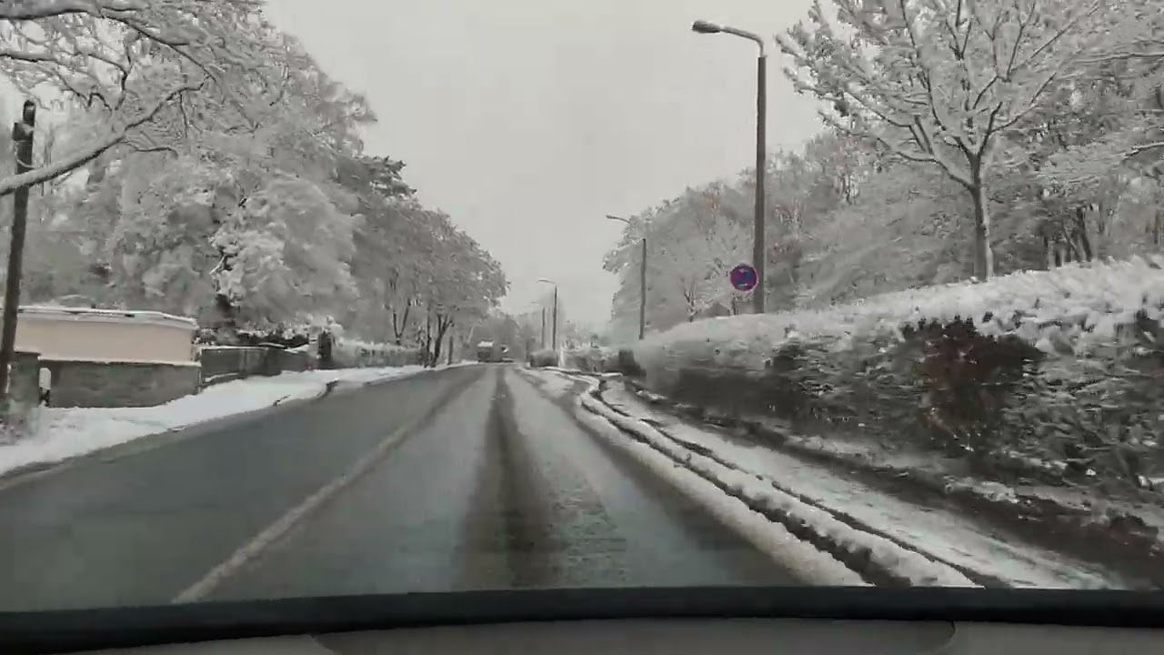 Von Zwickau nach Werdau 03.12.22. Winterfahrt