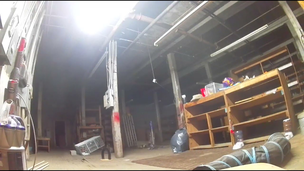 Tiger, Oreo, and Rusty