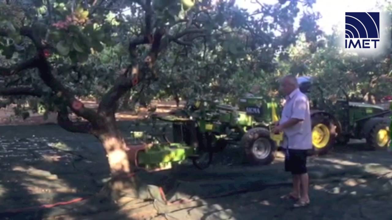 Radiocomando IMET per scuotitore olive per trattore