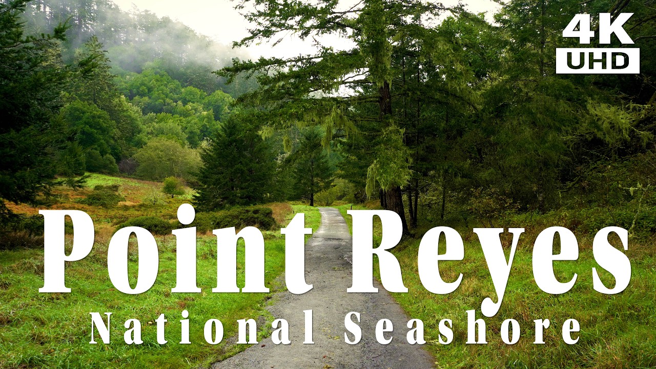 Point Reyes National Seashore Hike - From Bear Valley Visitor Center To Shore at Keyhole Point.
