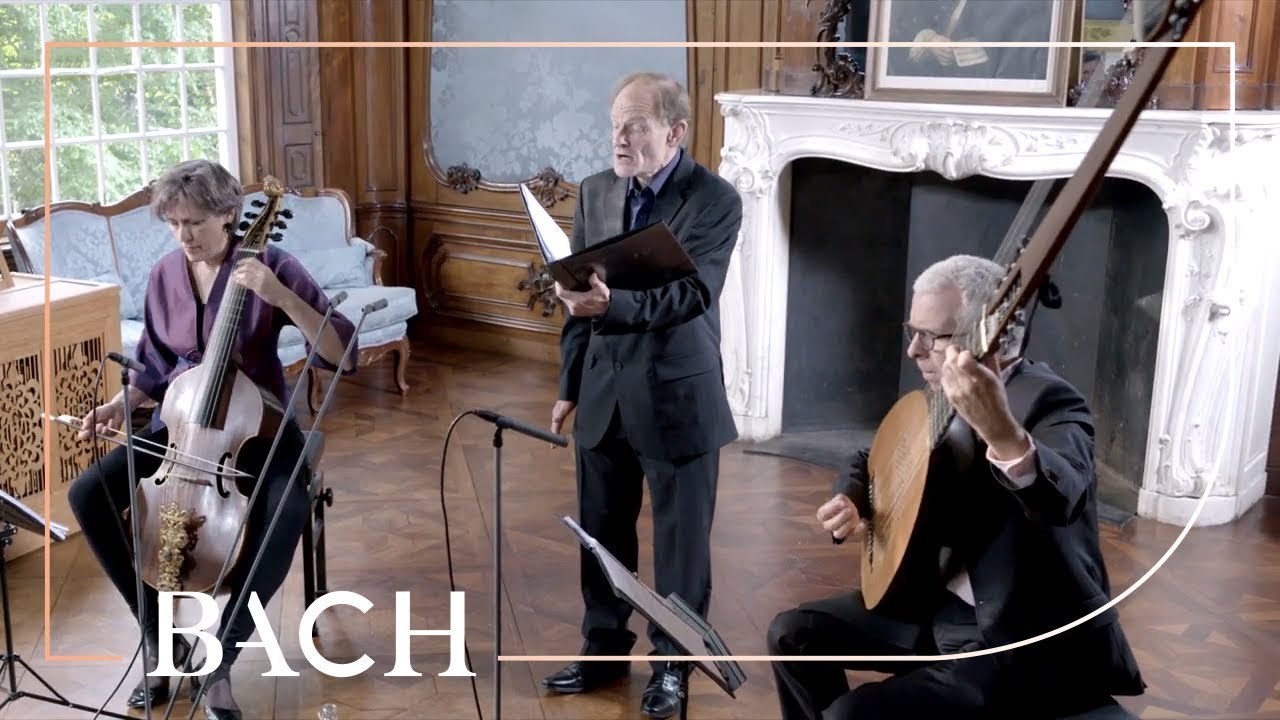 Bach - So gehst du nun BWV 500 - Daniels | Netherlands Bach Society
