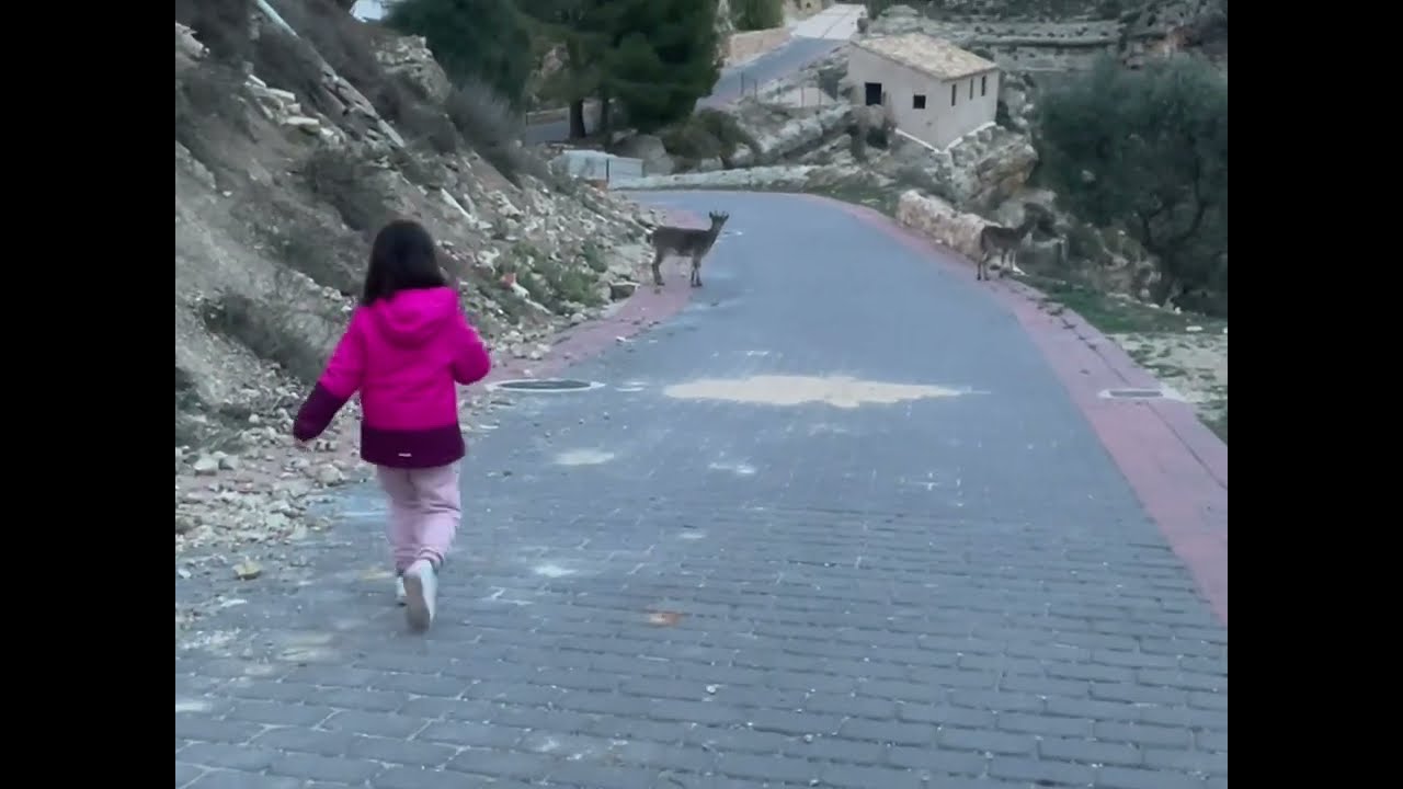 El Refugio de Chloe