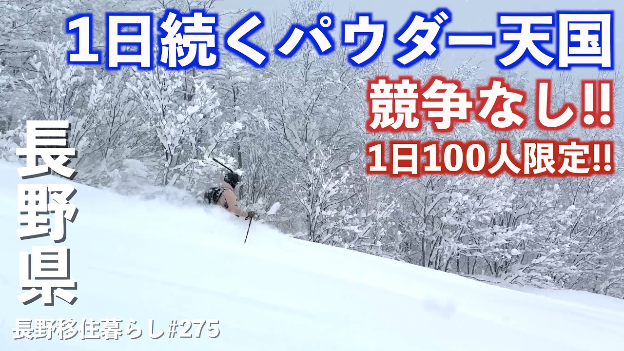 【長野移住】みんなが夢中になるパウダーってこういう事だったんですね｜The きじまスノーパーク｜ロマンスの神様スキー場｜ドライブ｜田舎暮らし｜長野県｜4K