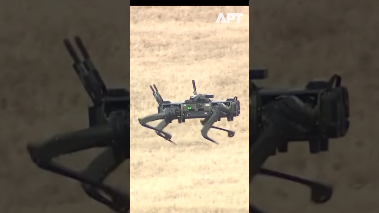 Robot Dogs Join Japanese Military Drill as Self-Defense Forces Test Unmanned Ground Vehicles | APT