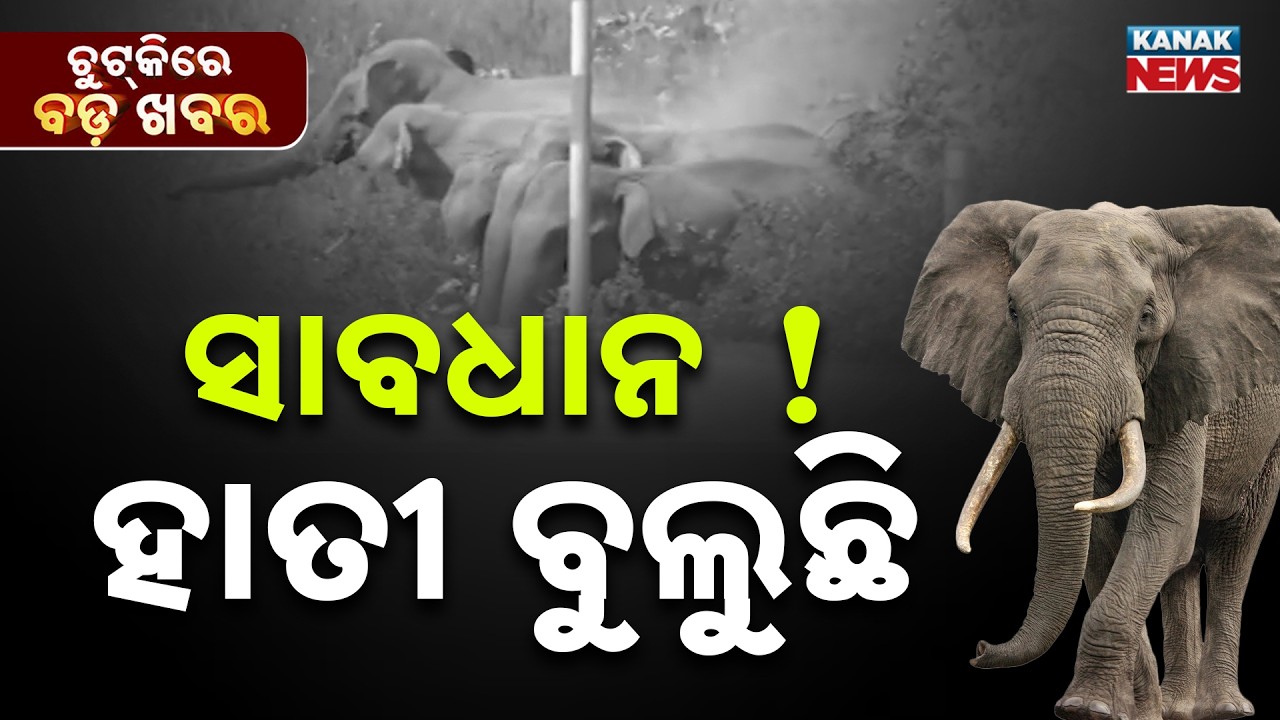 Chutkire Bada Khabar || 12th February 2026 || 6PM Digital Bulletin || Kanak News