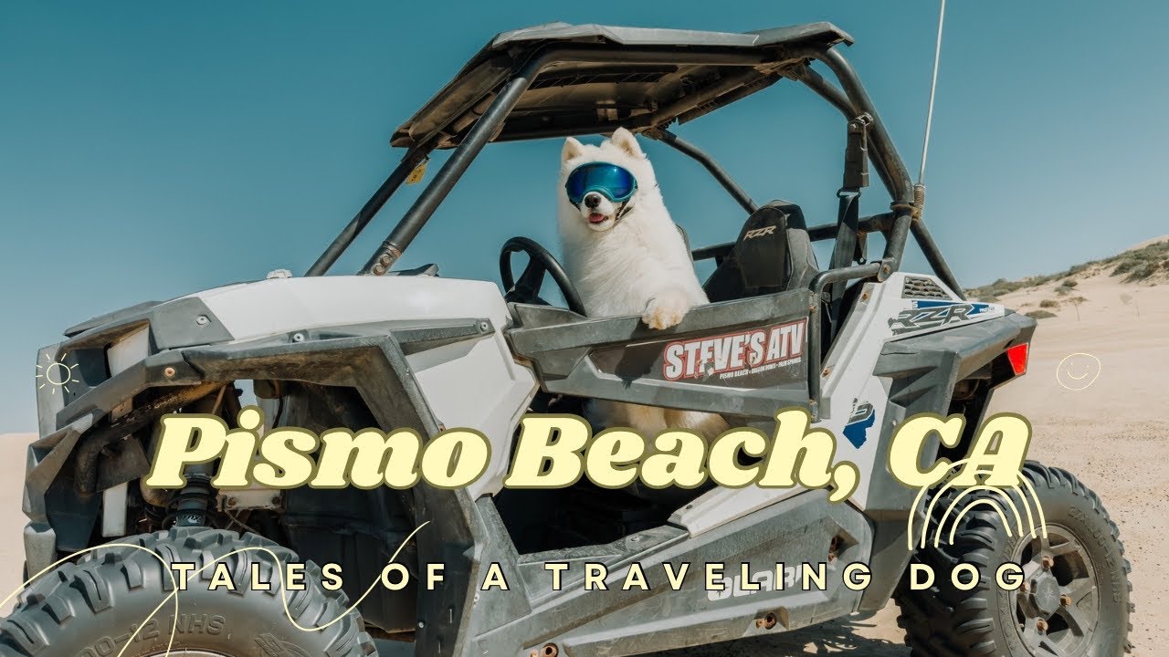 My dog’s first time on an ATV | Pismo Beach