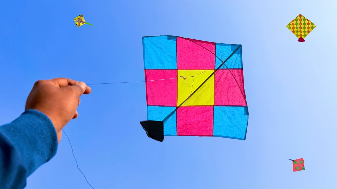 Kite Looting | 2 Kites Catching On Roof | Kite