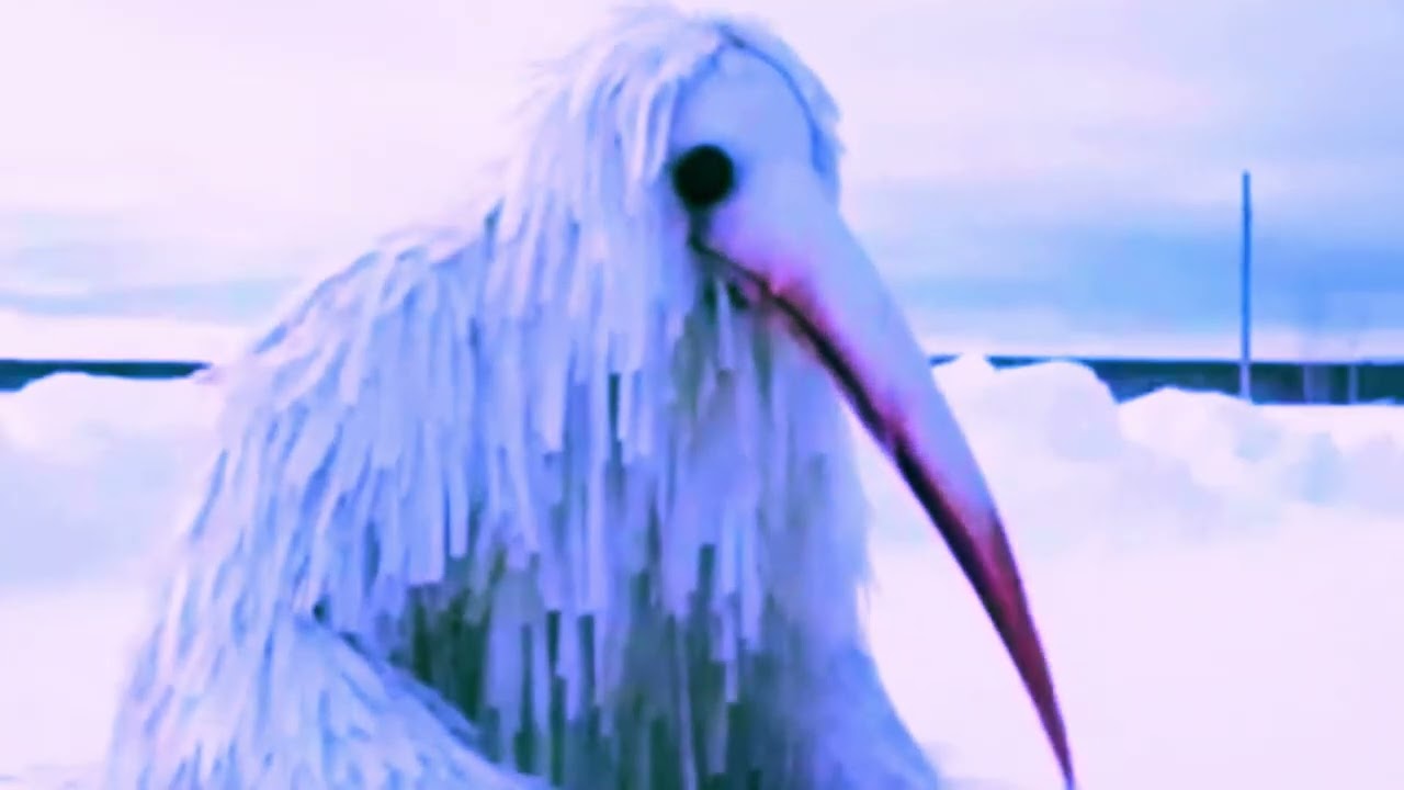 (SOLD) opium bird x ambient type beat (prod by Thyeosthyco)