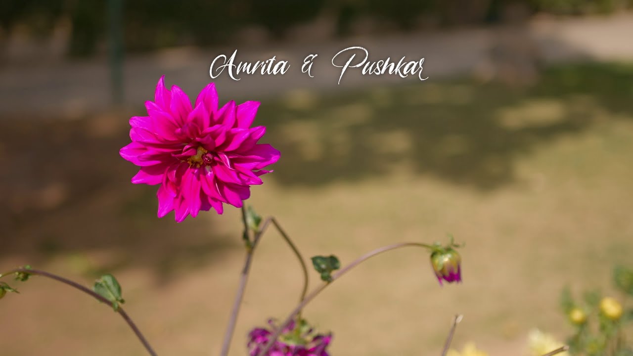 Amrita & Pushkar pre wedding clicked by CAPITALPHOTOGRAPHY