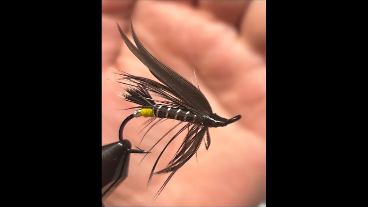 TravelerFlies is live! Tying salmon flies.