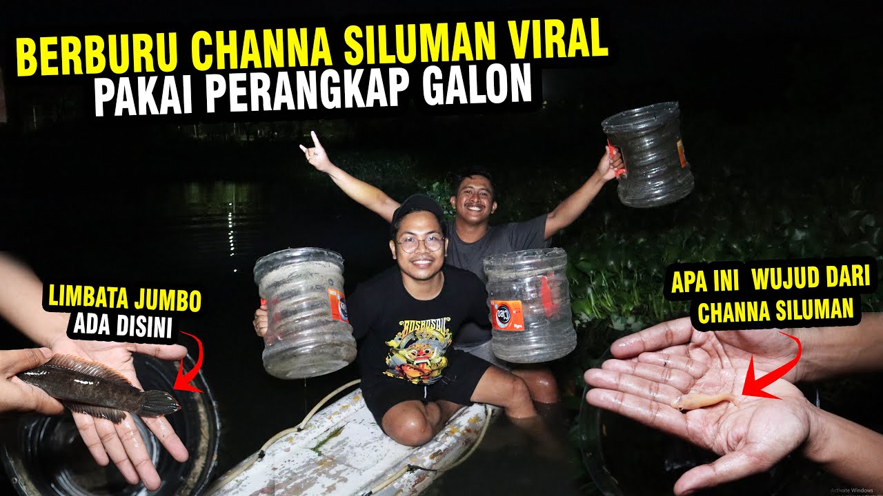 SAKTI !!! PERANGKAP GALON DIMARKAS CHANNA SILUMAN DI RAWA2 TERBENGKALAI