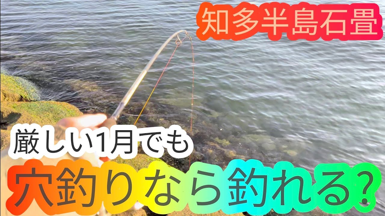 厳しい1月でも穴釣りなら釣果を出せる!?…愛知県 知多半島 衣浦湾 海釣り 100均 ダイソー daiso fishing ロックフィッシュ 穴釣り カサゴ ハゼ