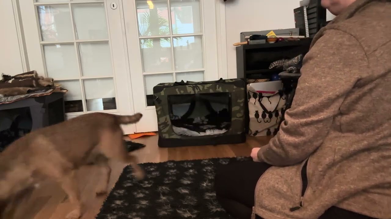 Filtträning