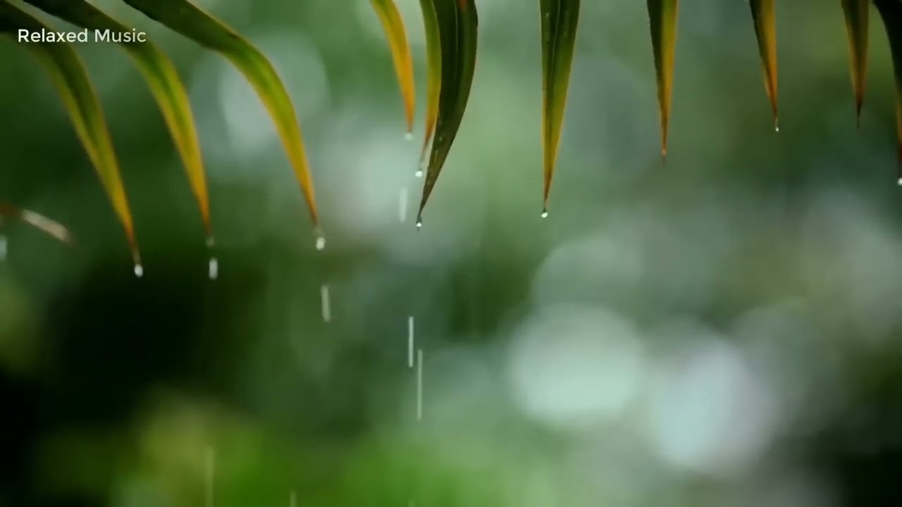 12 hours Relaxing Music, Rain Sounds,  Beautiful Piano Music, Background Music, Sleep Music