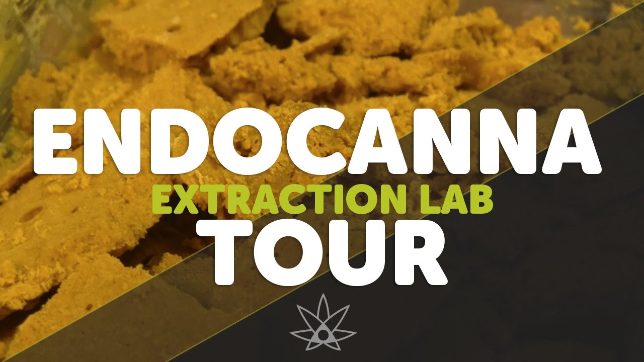Endocanna Cannabis Extraction Lab Tour  - How Dabs are Made