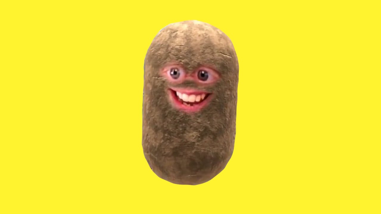 𝗦𝗣𝗨𝗗𝗭𝗔