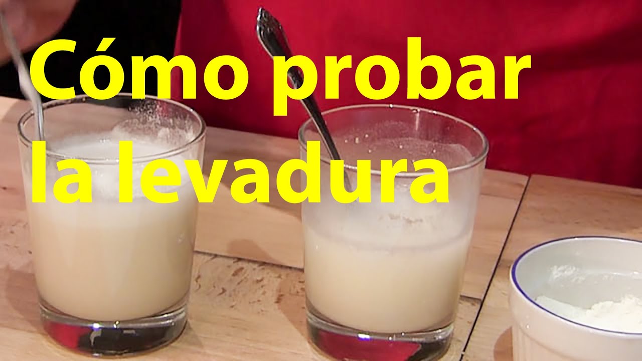 Como probar si la levadura esta buena antes de hacer una Receta de Pan paso a paso