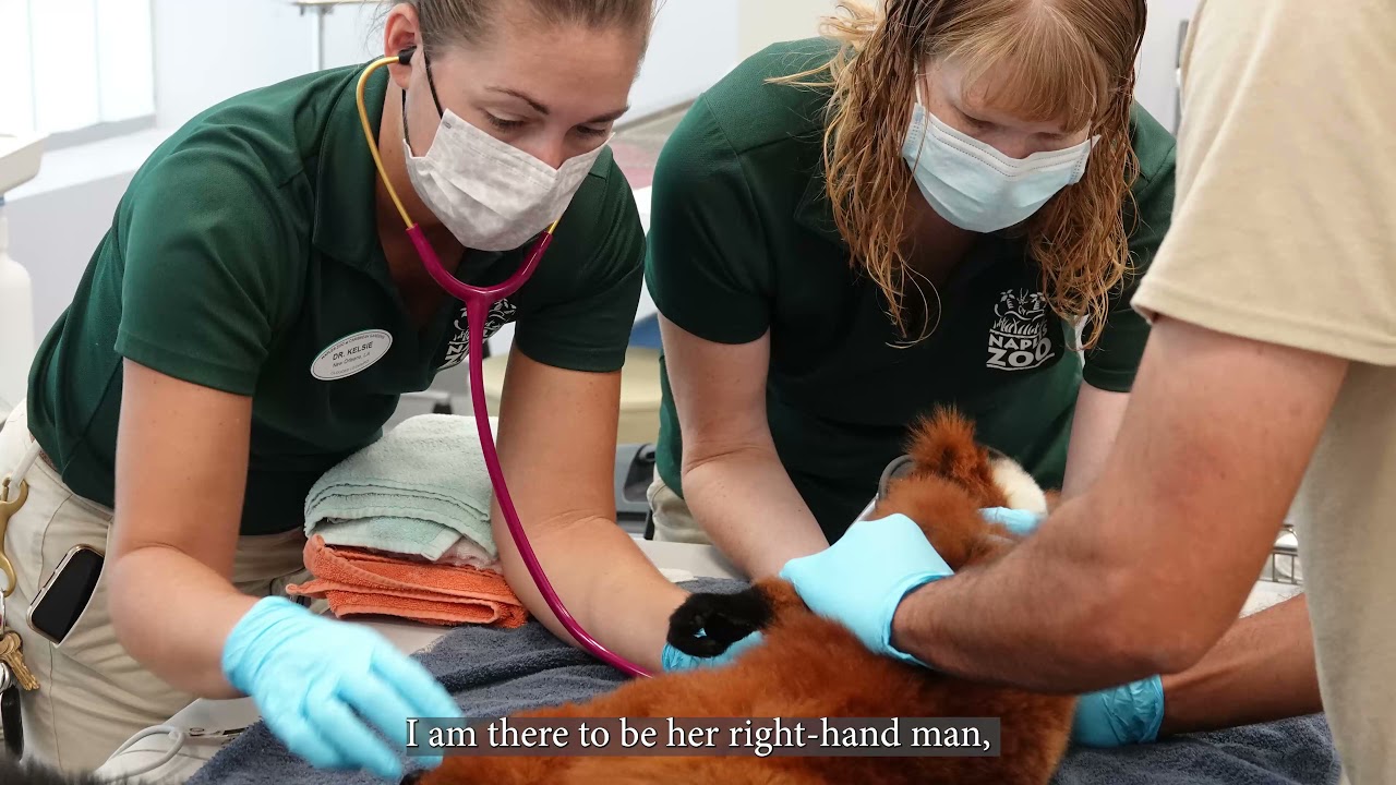 Happy National Veterinary Technician Week!