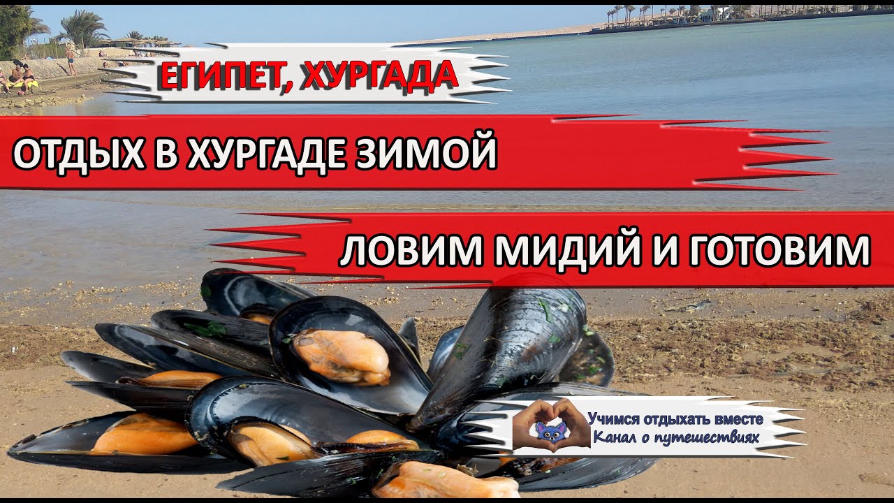 ХУРГАДА| Красное море. Ловим мидии  и готовим
