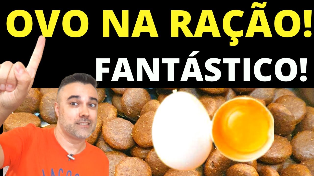 OVO NA RAÇÃO PARA CACHORRO ✅FANTÁSTICO!
