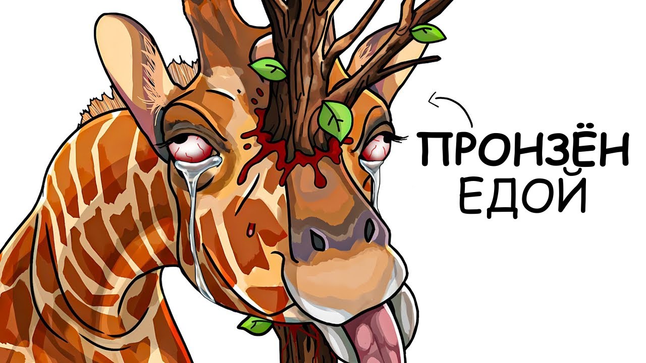 Ты – Жираф (И ЭТО ВСЯ ТВОЯ ЖИЗНЬ)