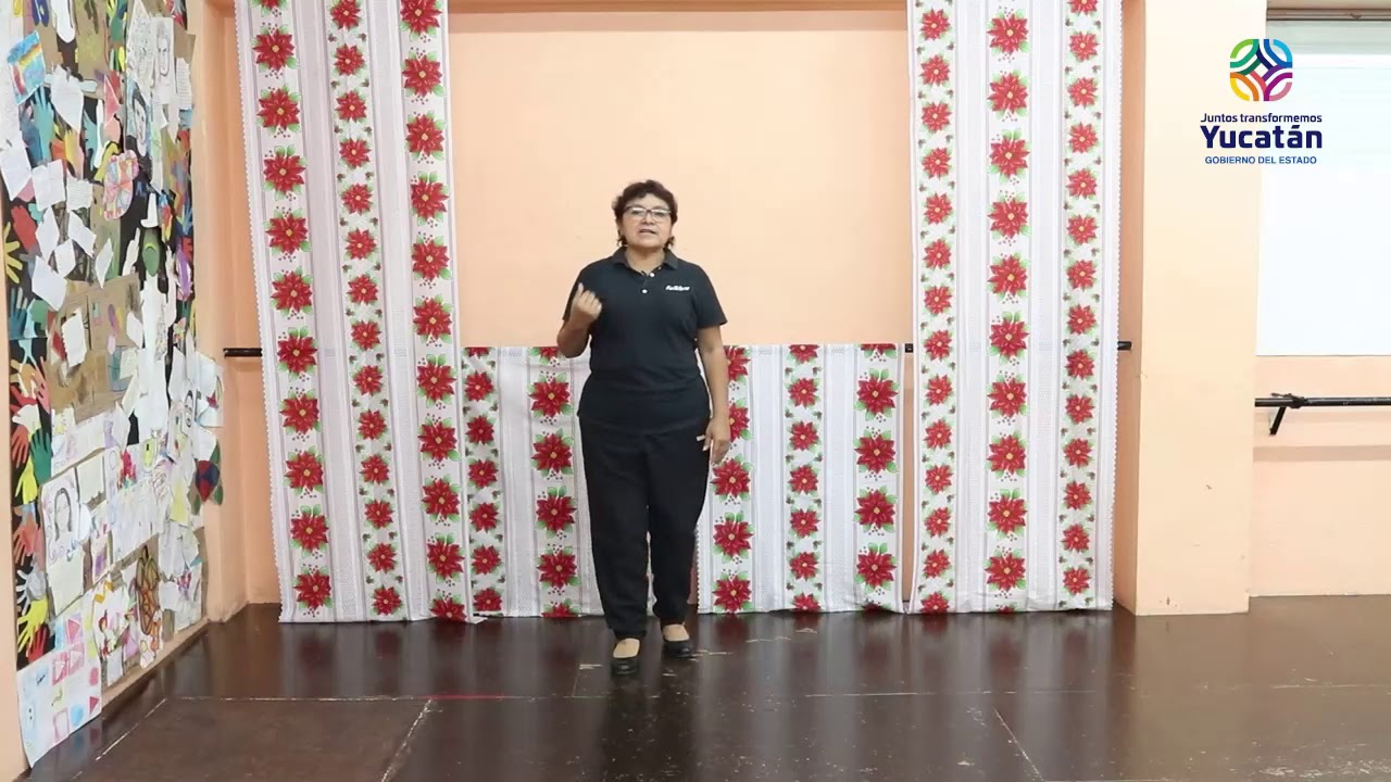 Pasos básicos del son 