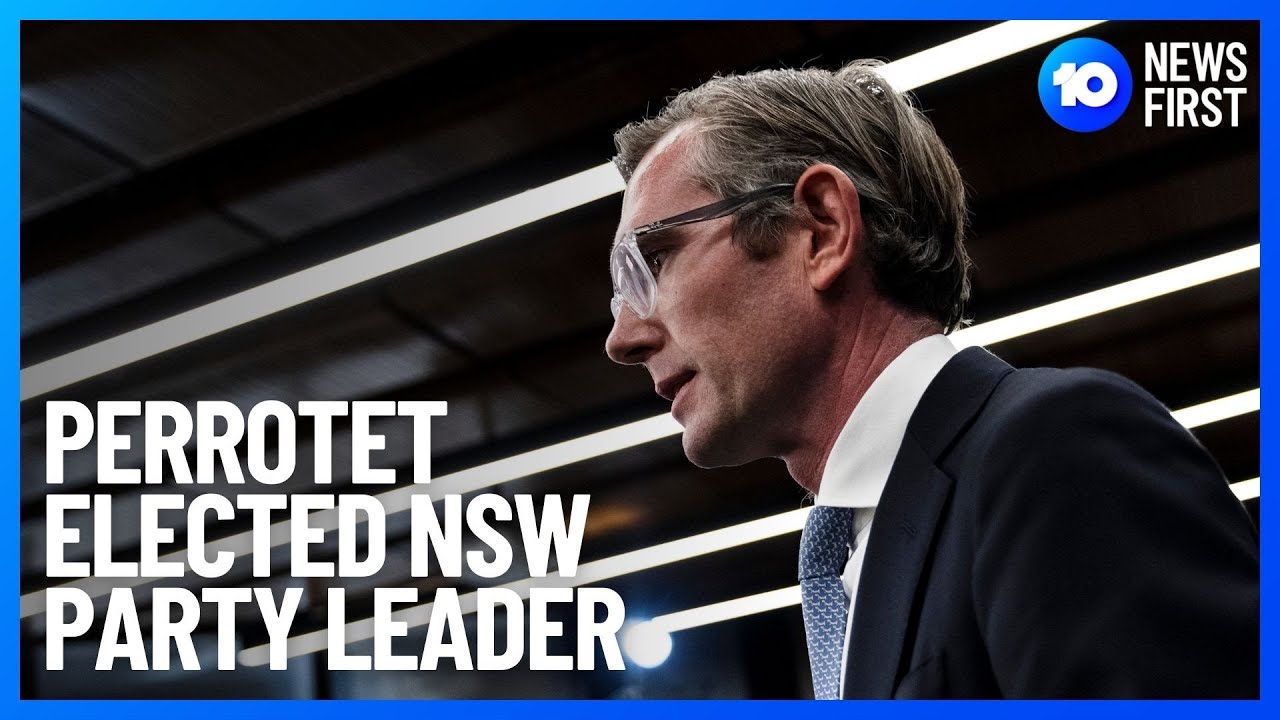 Dominic Perrottet's Challenge As NSW Premier | 10 News First