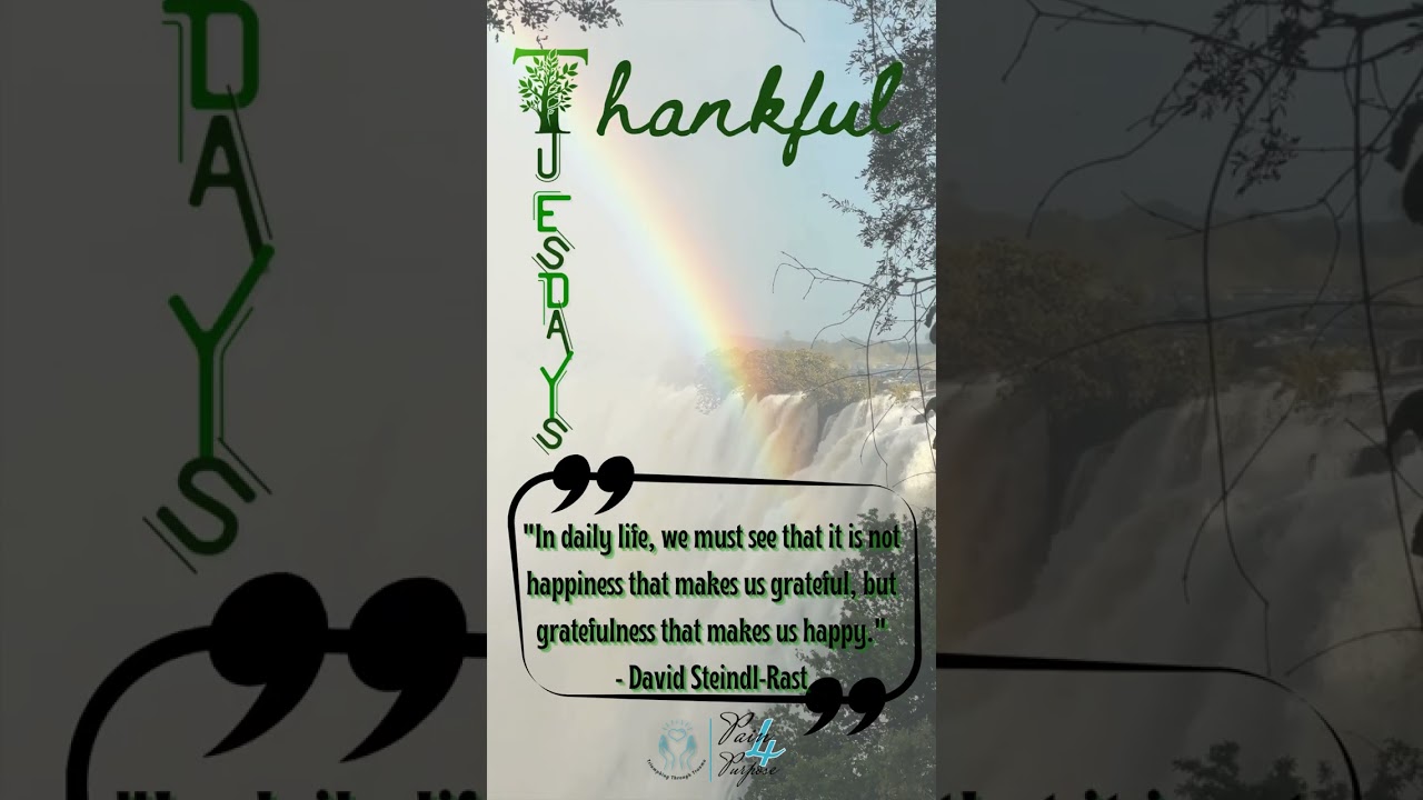 Thankfulness turns each day into something beautiful 🌿#ThankfulTuesday #SimpleJoys #GratitudeGoals