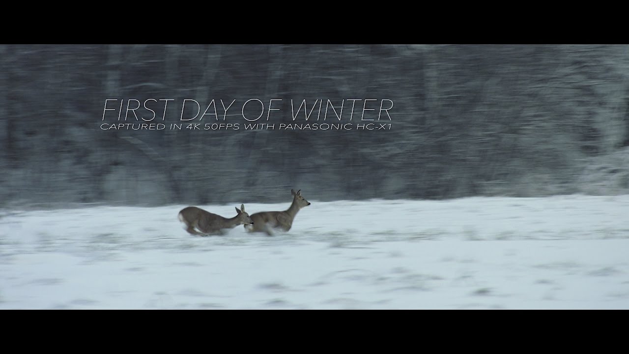 'First Day of Winter' [Panasonic HC-X1 4K 50fps footage]