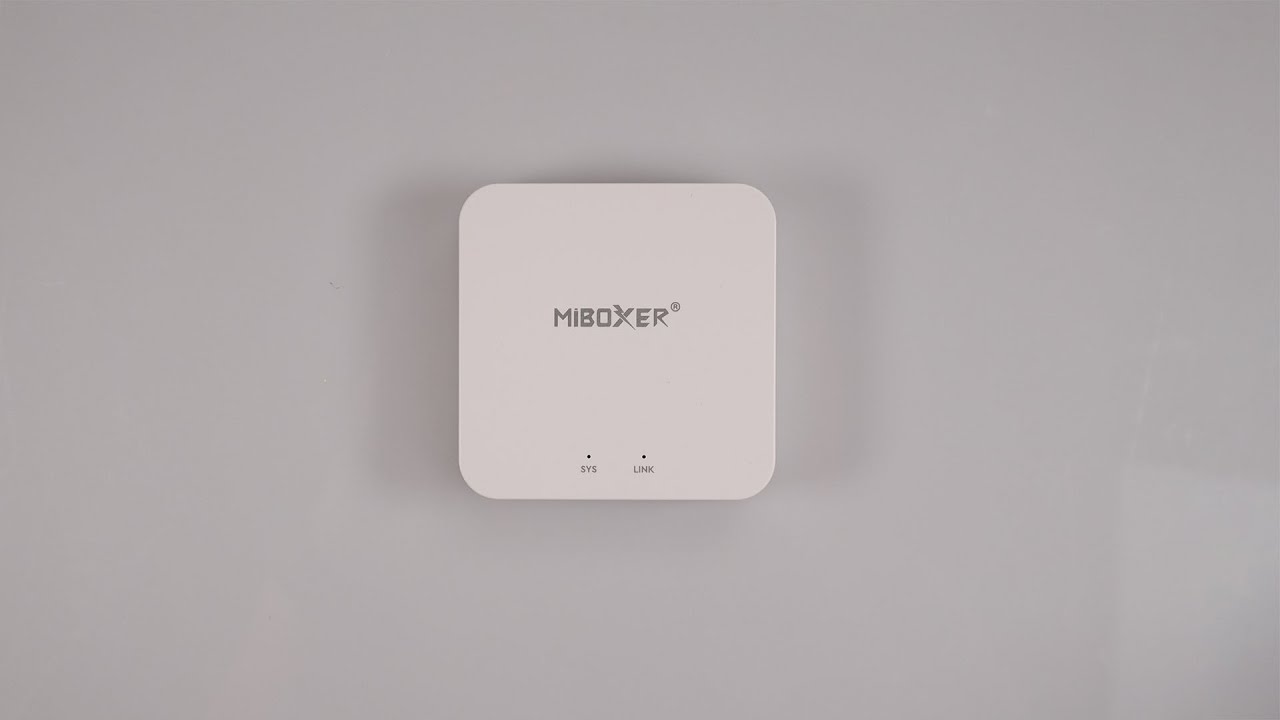 WL BOX2