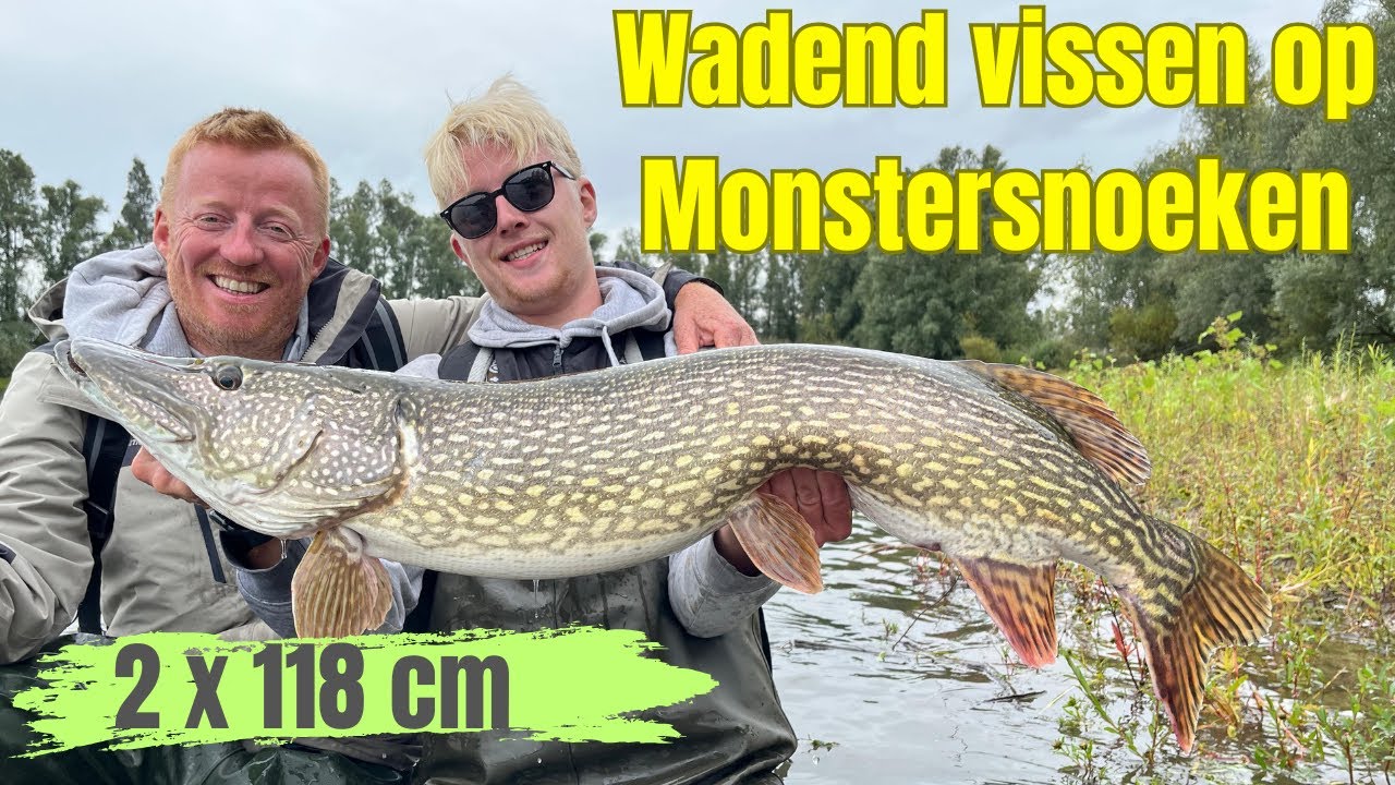 Wadend vissen op grote snoek. Klein aas tegen groot aas