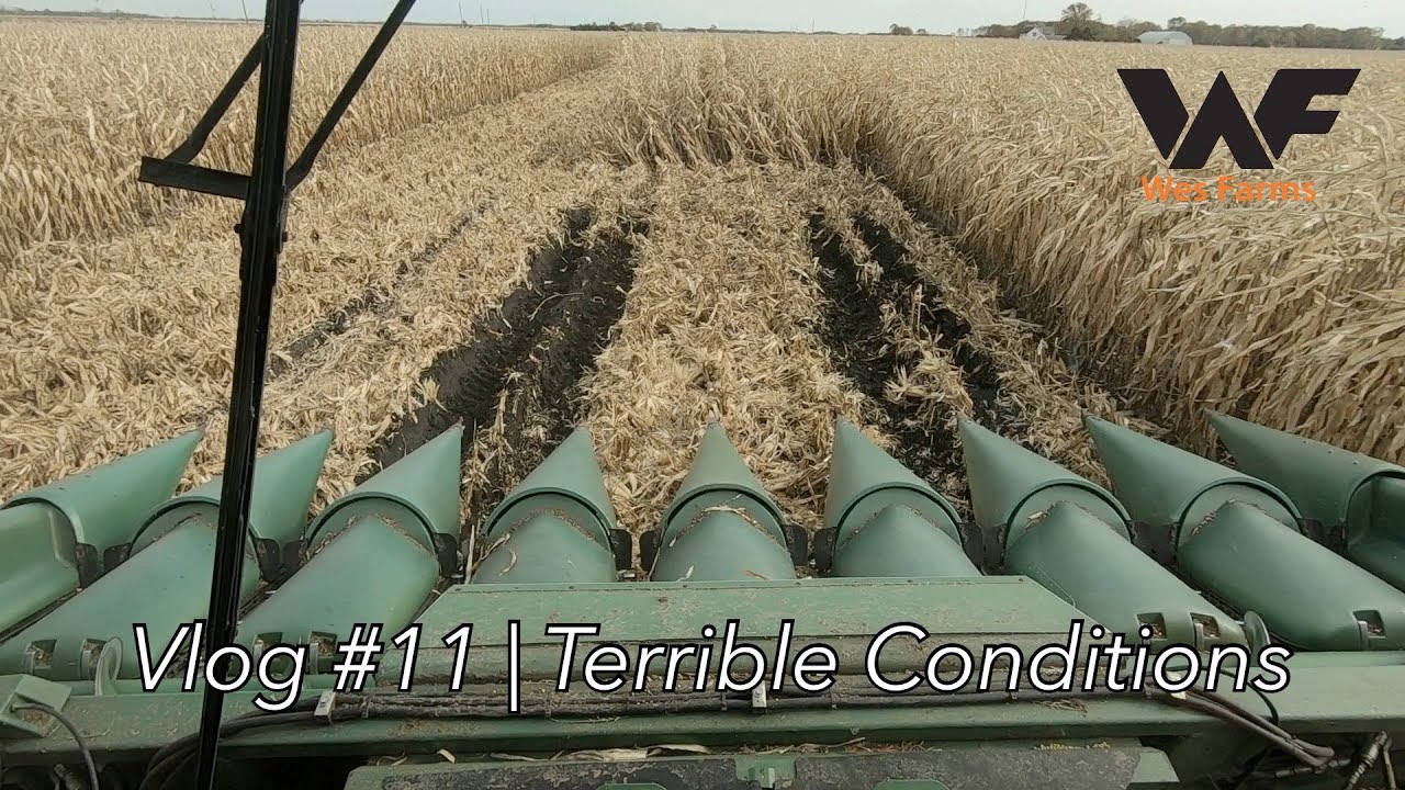 What a muddy mess! Corn Harvest 2019 Vlog 11
