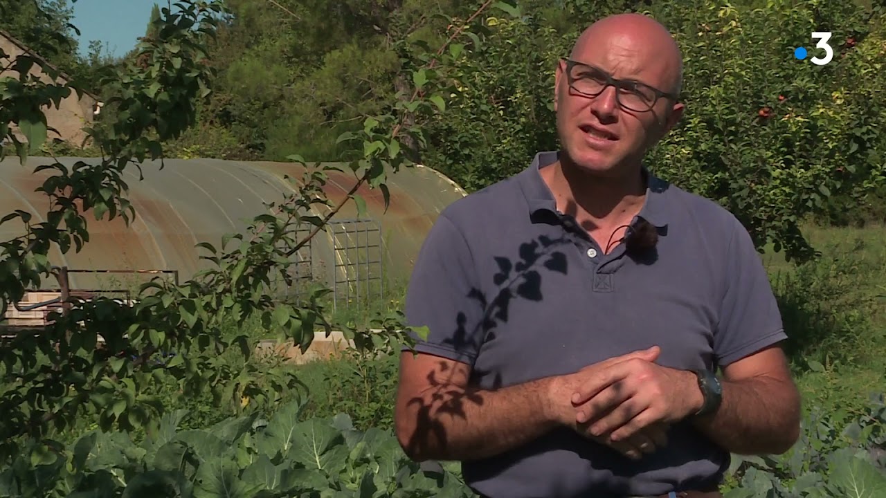 PrioriTerre agroforesterie au Thor et à Pernes-les-Fontaines : arbres et maraichage en symbiose