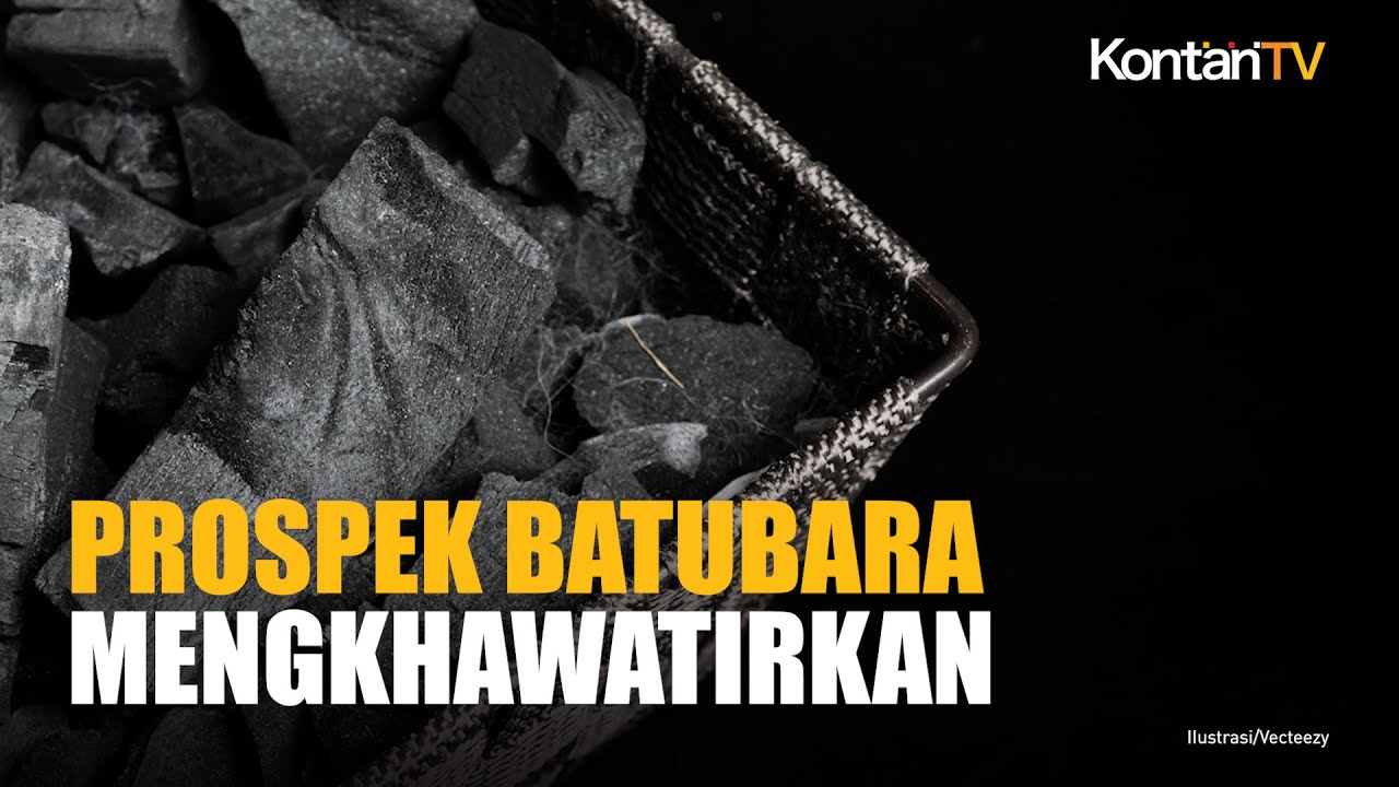 Prospek Batubara 2026 Antara Pengaruh Harga Global dan Peran Bagi Penerimaan Negara