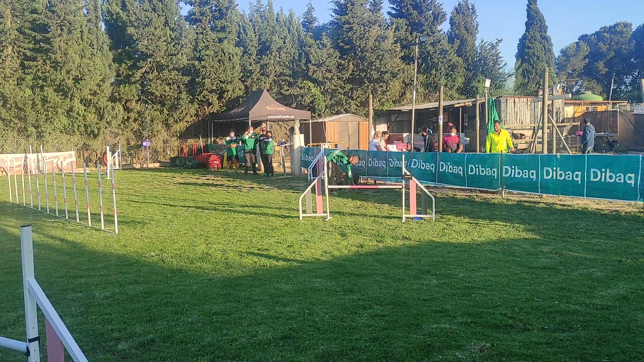 Agility Malinois Mecha Rfec 2021 (1Mayo)