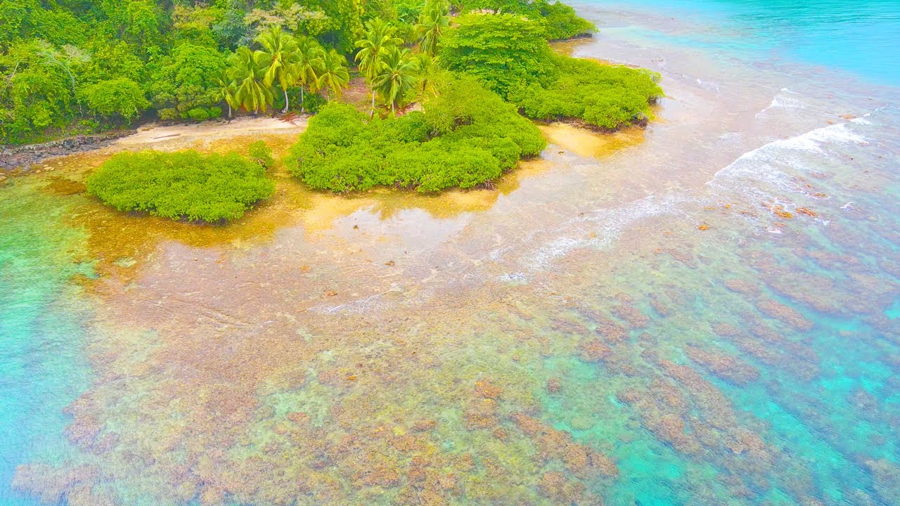 Pure Paradise 🥰💗🏝 4K Drone Video of Panama's Tropical Beaches (Caribbean)