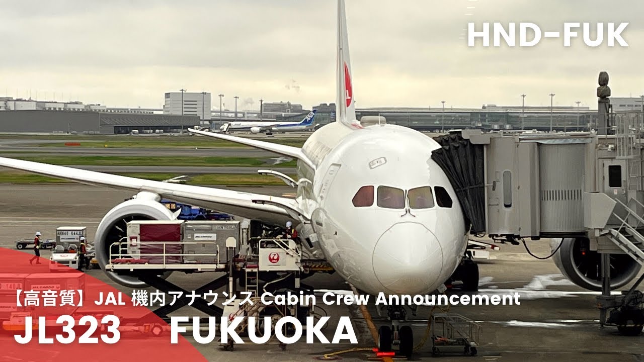 【高音質】JL323便 福岡行き 機内アナウンス/JL323 Flight to Fukuoka Cabin Crew Announcement(B787-8)