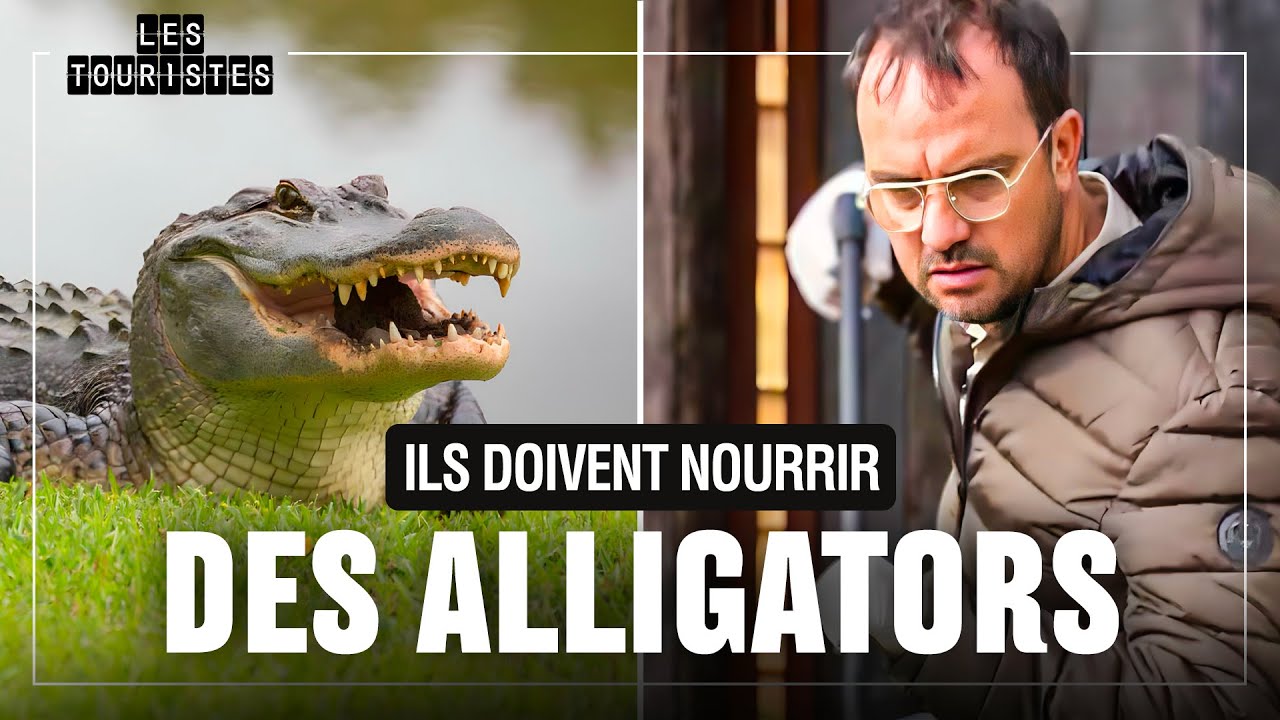 Jarry au bout de sa vie face aux alligators 🤣 | Les Touristes