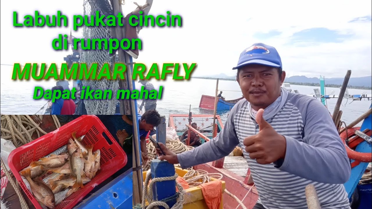 Labuh pukat cincin di RUMPON MUAMMAR RAFLY Dapat ikan Jenaha