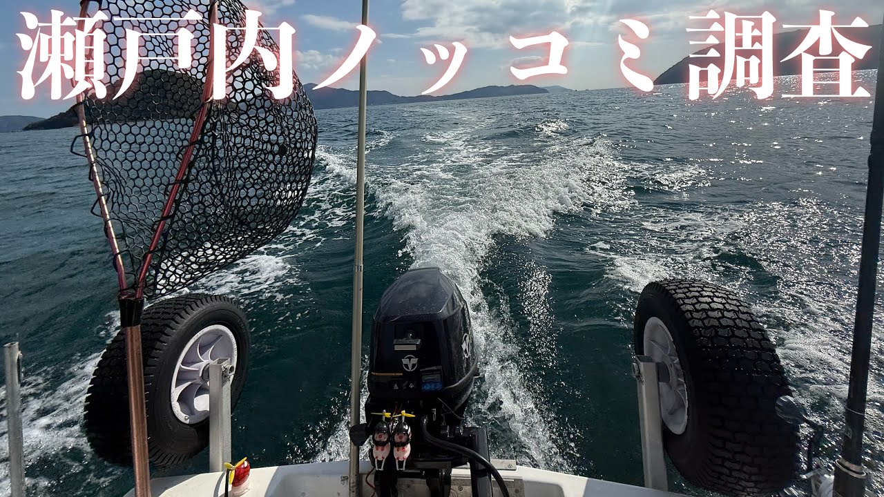 瀬戸内ノッコミ間近？！タイラバ調査【エボシ340 辻堂加工】