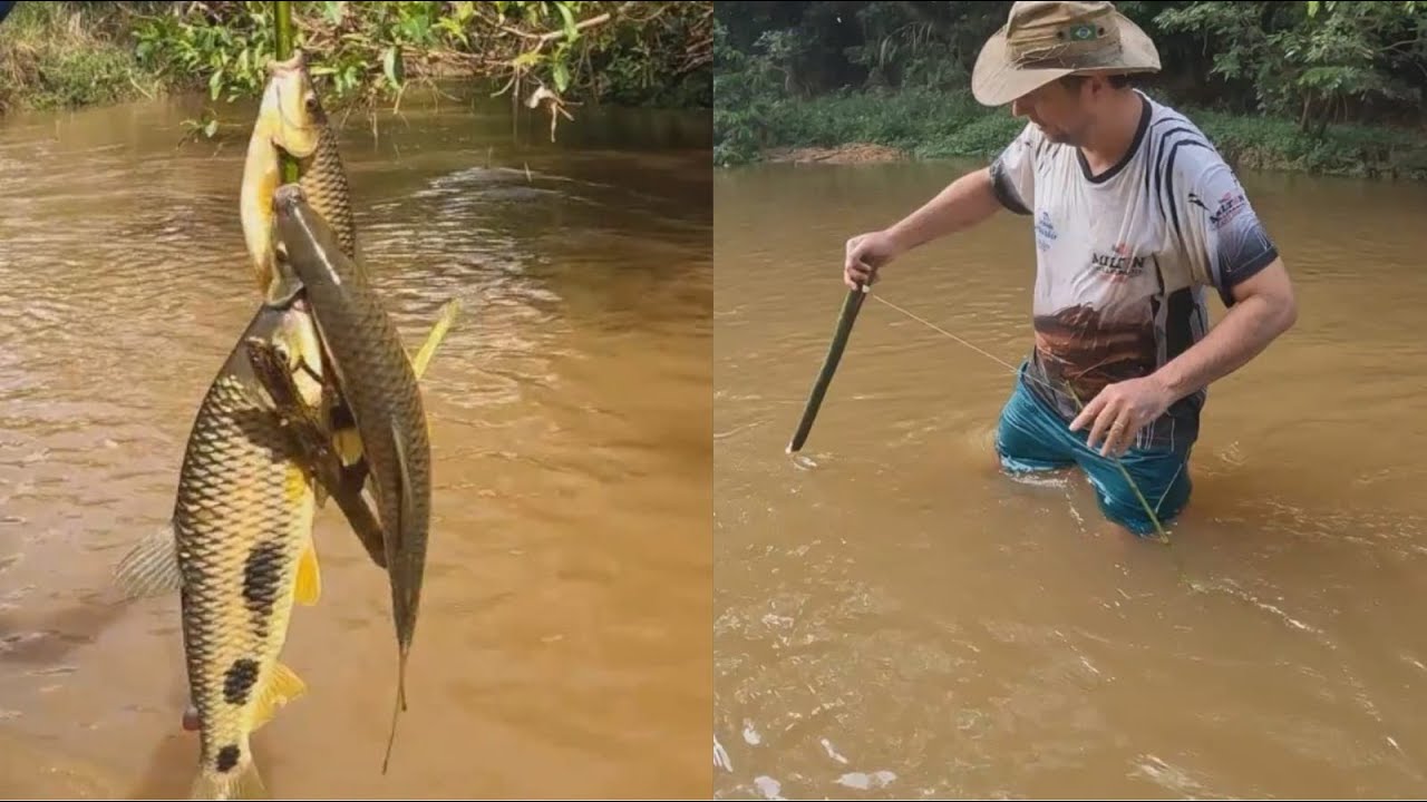 Depois que aprendi pegar piau 3 pintas desse jeito nunca mais fiquei sem peixe, Pescaria