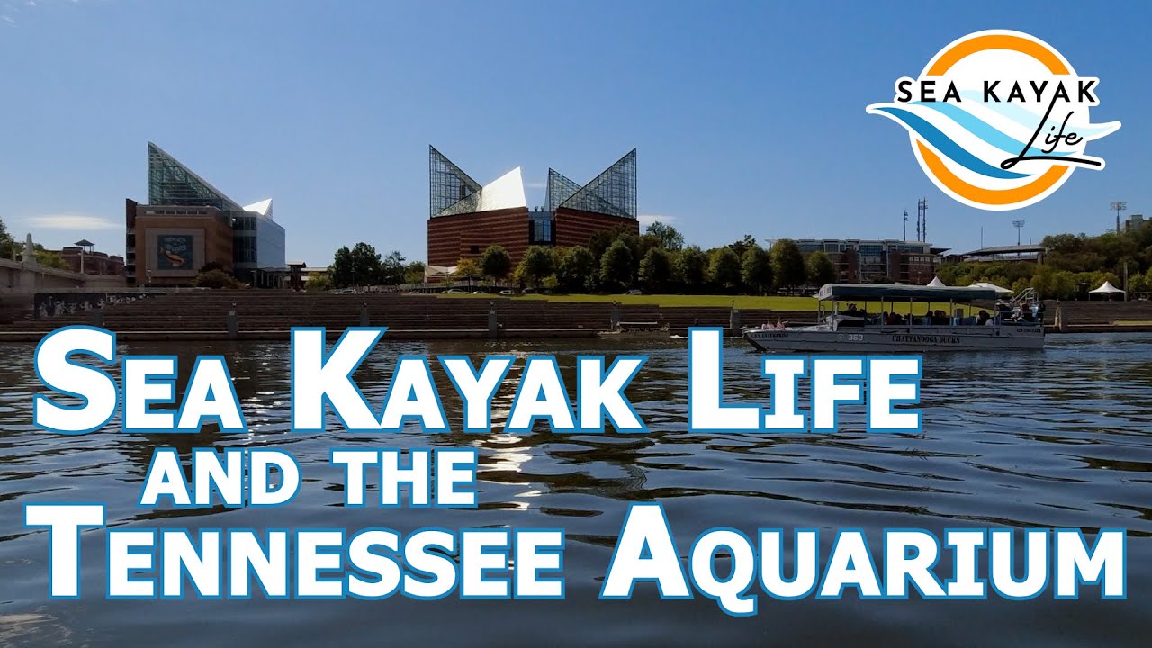 EP21 Sea Kayak Life and the Tennessee Aquarium