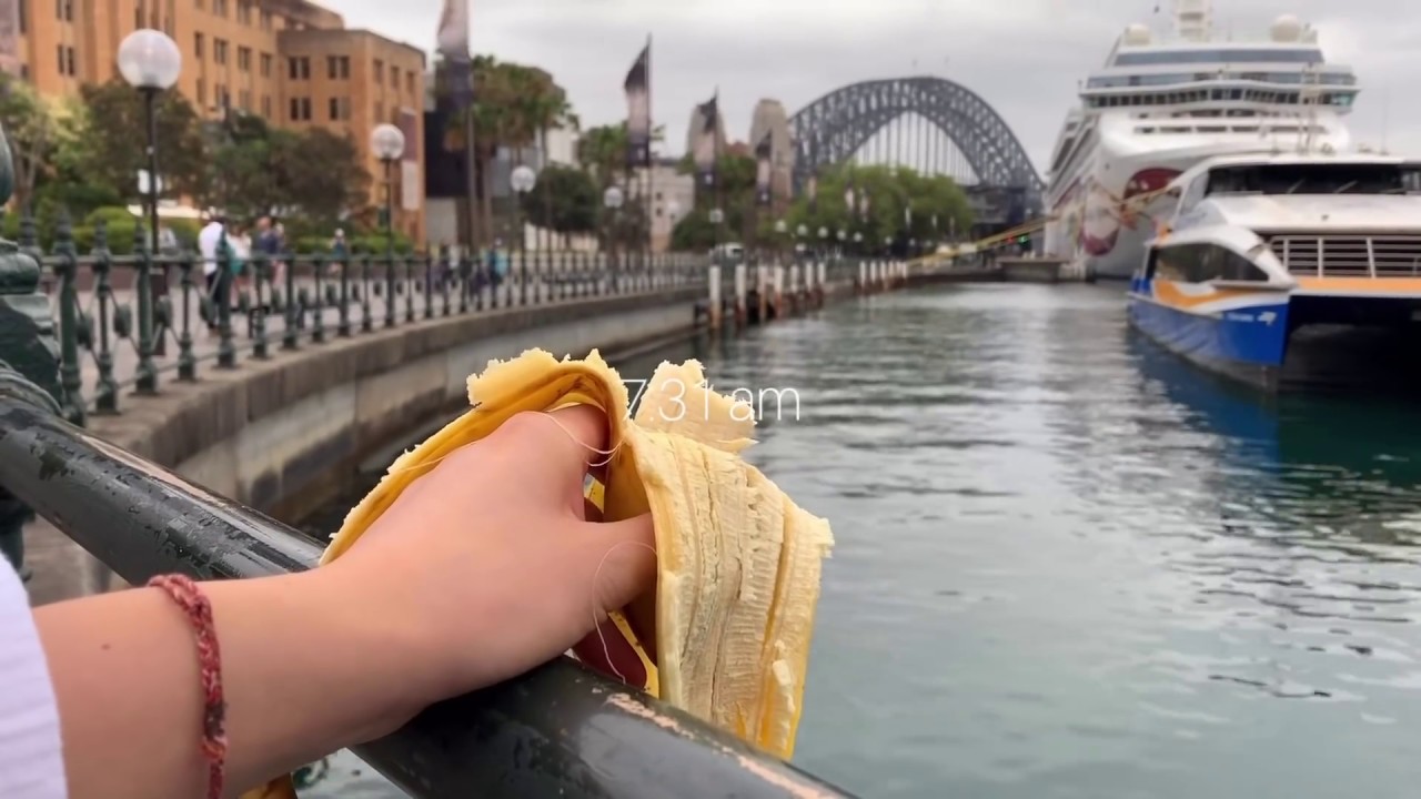 CAFE VLOG : ) Morning routine, Barista life in Australia, Latte art, Barista vlog, Coffee Recipe