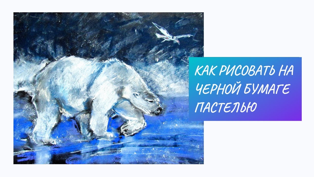 Как нарисовать на черной бумаге белого медведя сухой пастелью.