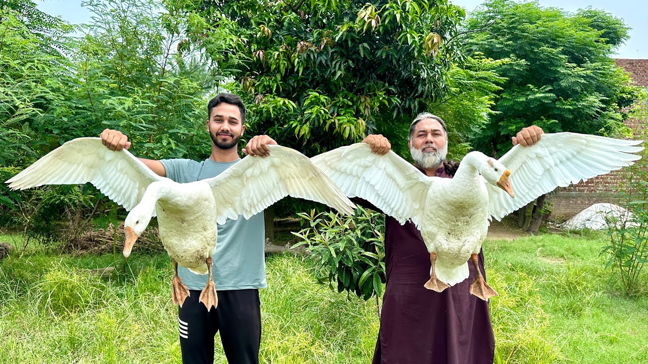 Duck Recipe | Duck Yummy Recipe By Mubarak Ali Tour And Taste 