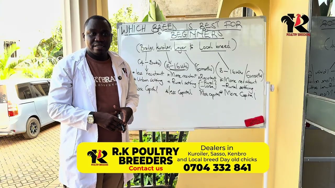 BINO BIKULU NGA TONASALAWO KIKA KYA NKOKO KYOONALUNDA