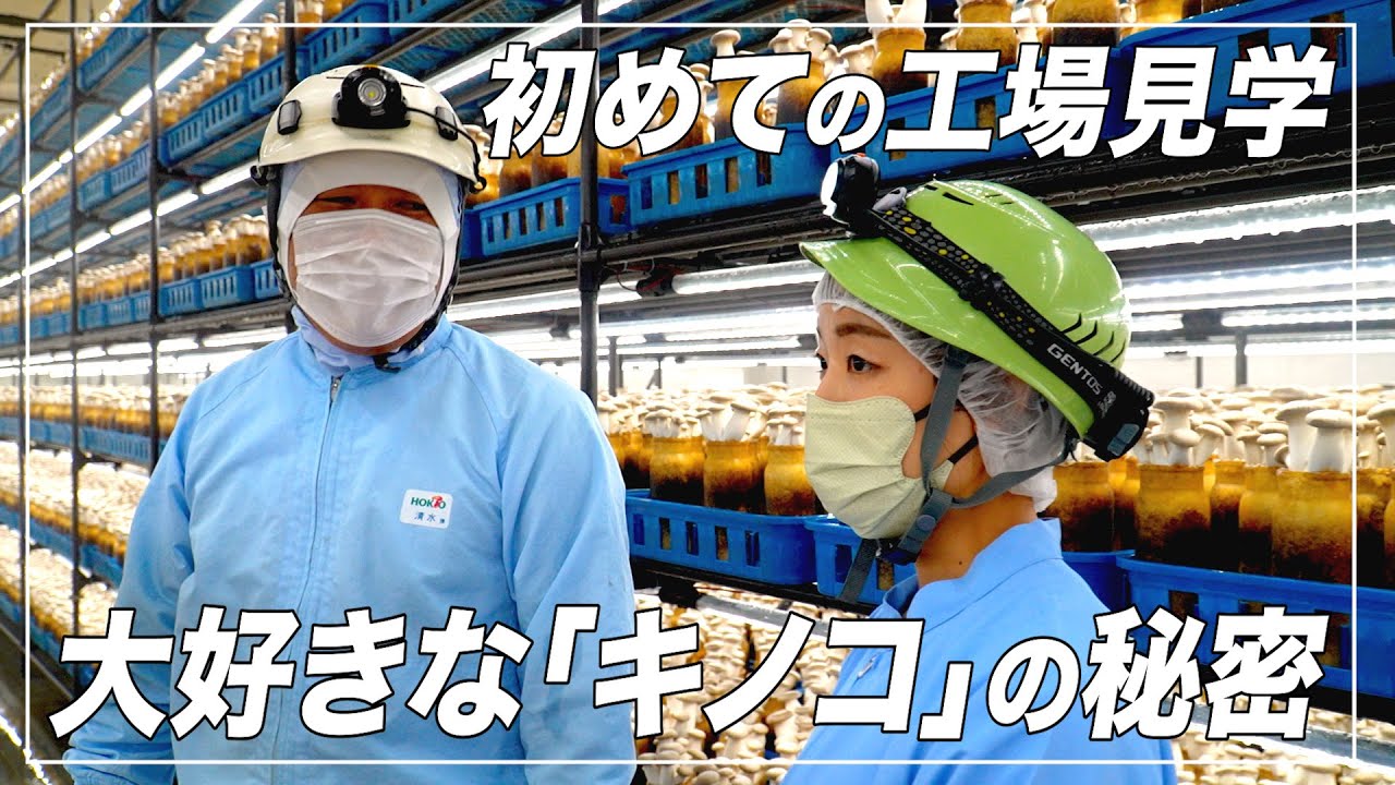 【奥原希望の大好物！】地元長野の「キノコ王国」の工場見学！