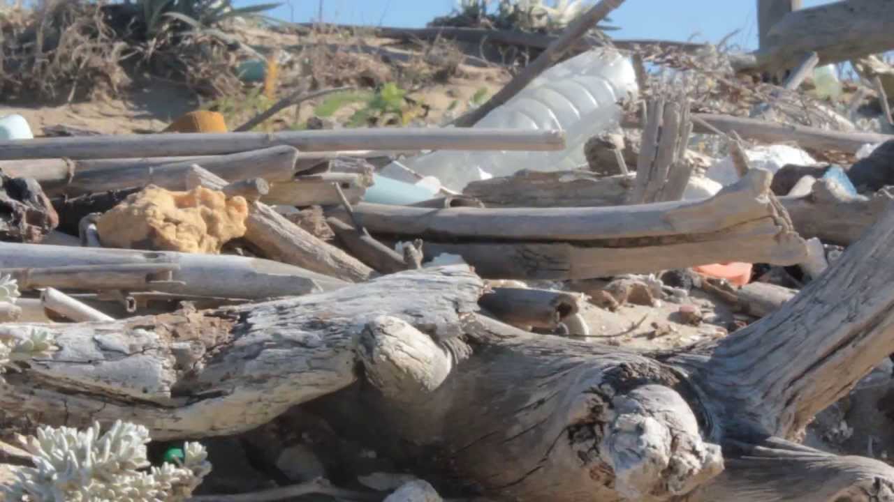 MARINE RUBBISH: una sfida da condividere (ITA)